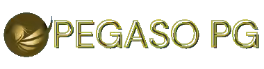 pegasopg.com